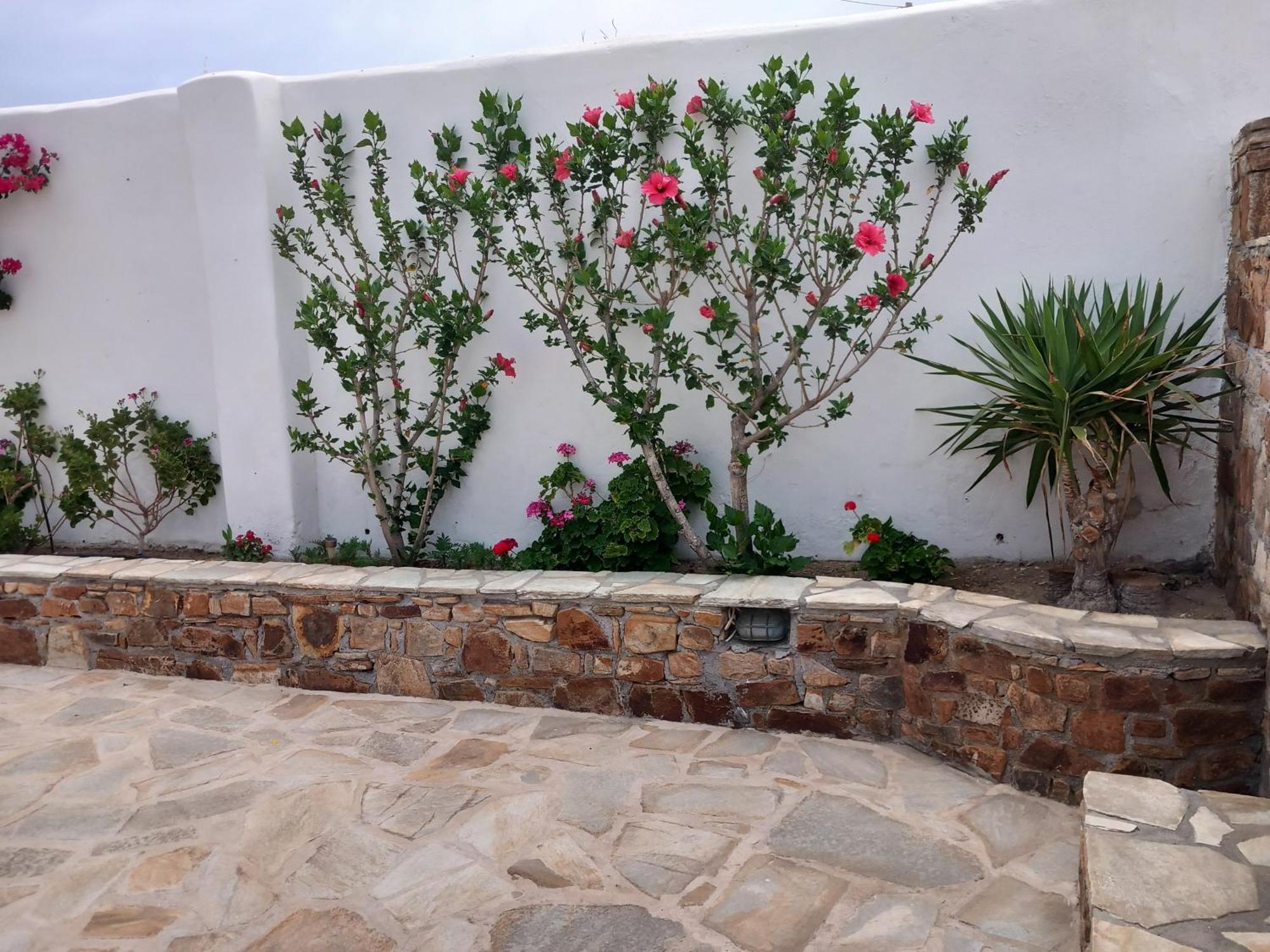 Vaso & In Naxos Town Appartement *